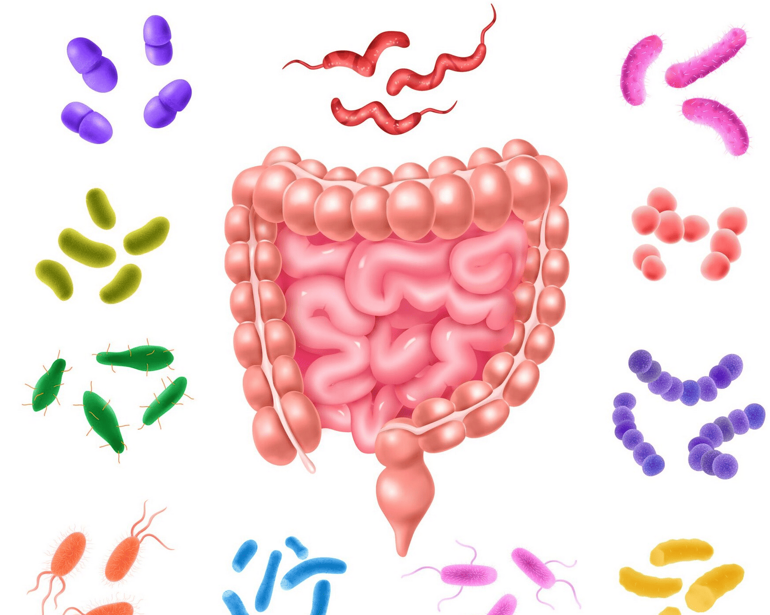 تحاليل مهمة للكشف عن الطفيليات البشرية
