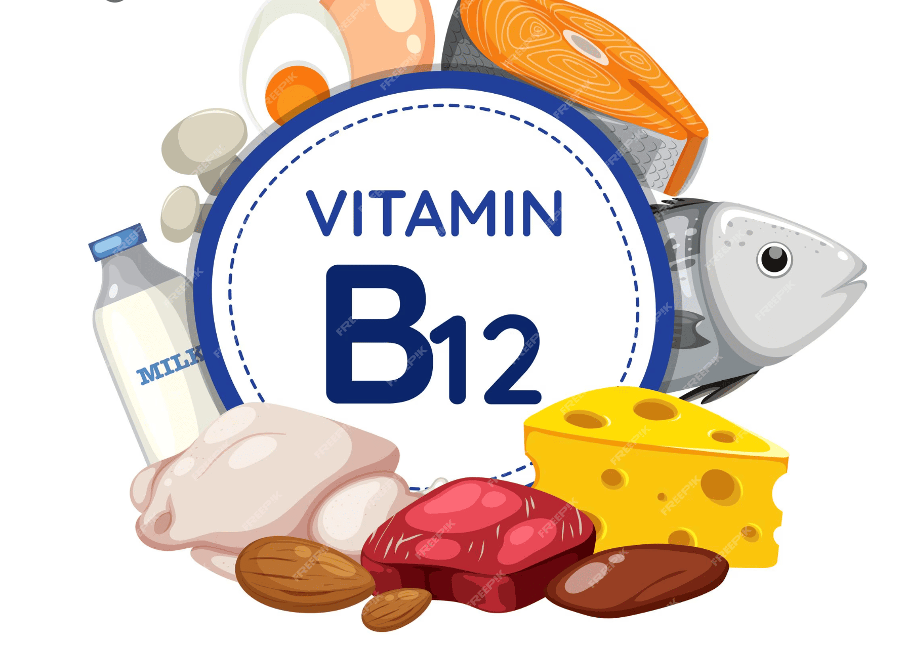 أهمية تحليل فيتامين ب١٢